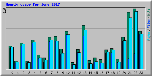 Hourly usage for June 2017